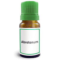 Abbildung des homöopathischen Einzelmittels Abrotanum