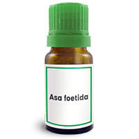 Abbildung des homöopathischen Einzelmittels Asa foetida