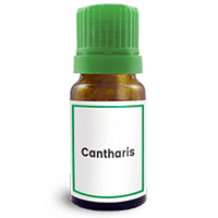 Abbildung des homöopathischen Einzelmittels Cantharis