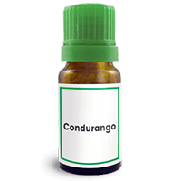 Abbildung des homöopathischen Einzelmittels Condurango