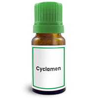 Abbildung des homöopathischen Einzelmittels Cyclamen