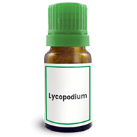 Abbildung des homöopathischen Einzelmittels Lycopodium