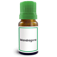 Abbildung des homöopathischen Einzelmittels Mandragora