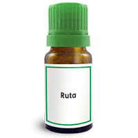 Abbildung des homöopathischen Einzelmittels Ruta