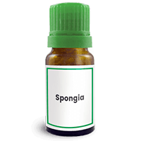 Abbildung des homöopathischen Einzelmittels Spongia