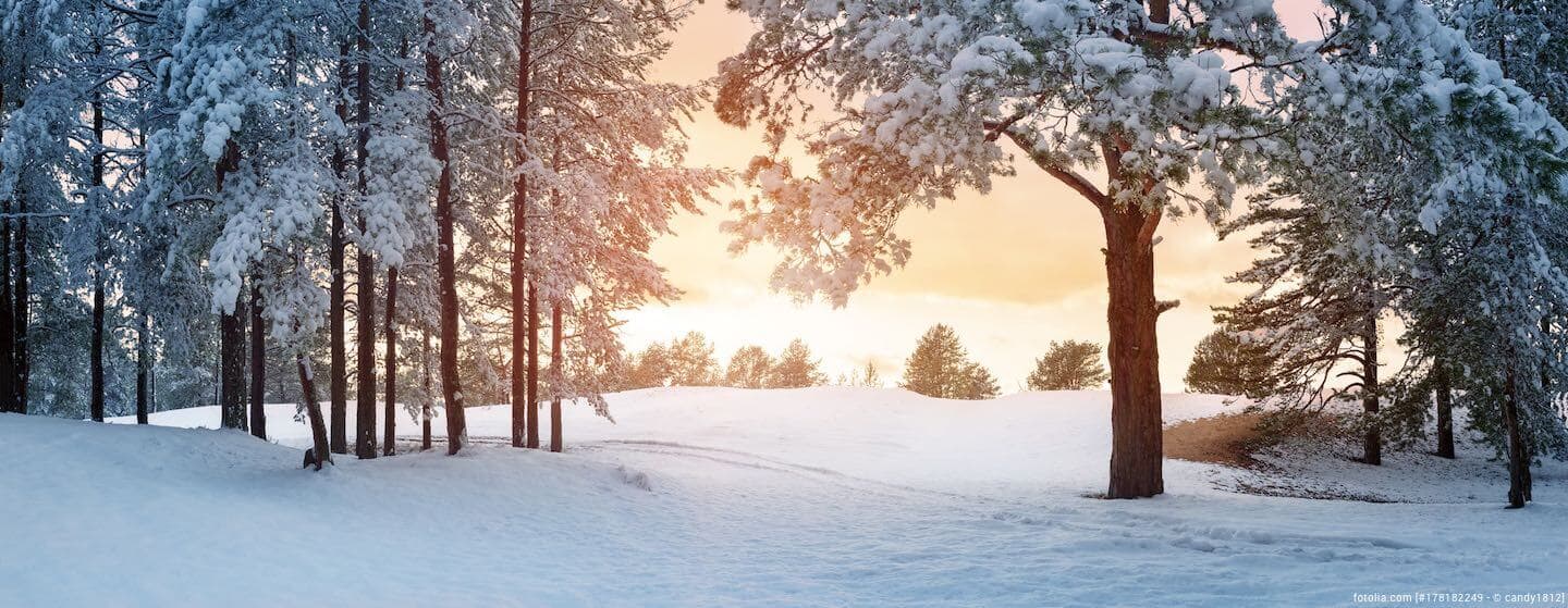 Mit der Homöopathie fit durch den Winter Mit der Homöopathie fit durch den Winter