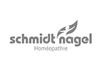 Schmidt-Nagel